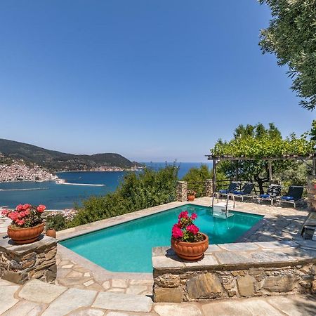 Villa Nina Skopelos- Private Pool - Magnificent Views 外观 照片