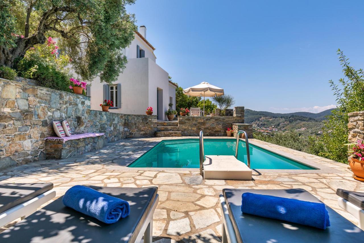 Villa Nina Skopelos- Private Pool - Magnificent Views 外观 照片
